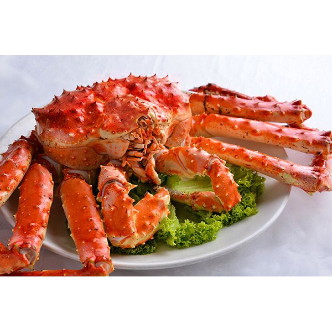 Kanika Alaska King Crab (+/- 1600G-1800GM PER PC)