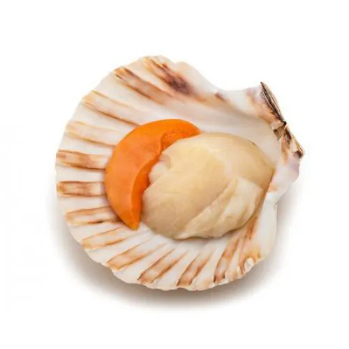 You Can Totally Handle Whole Scallops at Home - Eater