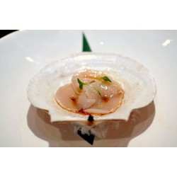 KANIKA SEA SCALLOP 11/15 [Sashimi Grade] (500GMX20PKT)