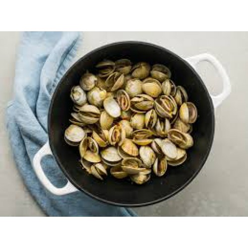 Frozen Whole Shell Clam 20/30 (908GM X 10PKT)
