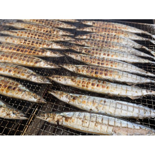 FROZEN SANMA [75-85PCS/CTN] (+/-10KG/CTN)