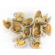 SFSH10004 [LALA MEAT S] BOILED YELLOW CLAM MEAT IQF/10